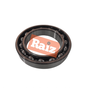 ROLAMENTO 6017 ZZ NSK