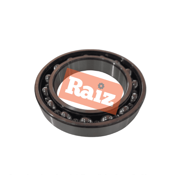 ROLAMENTO 6017 ZZ NSK