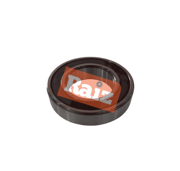 ROLAMENTO 6210 DDU NSK