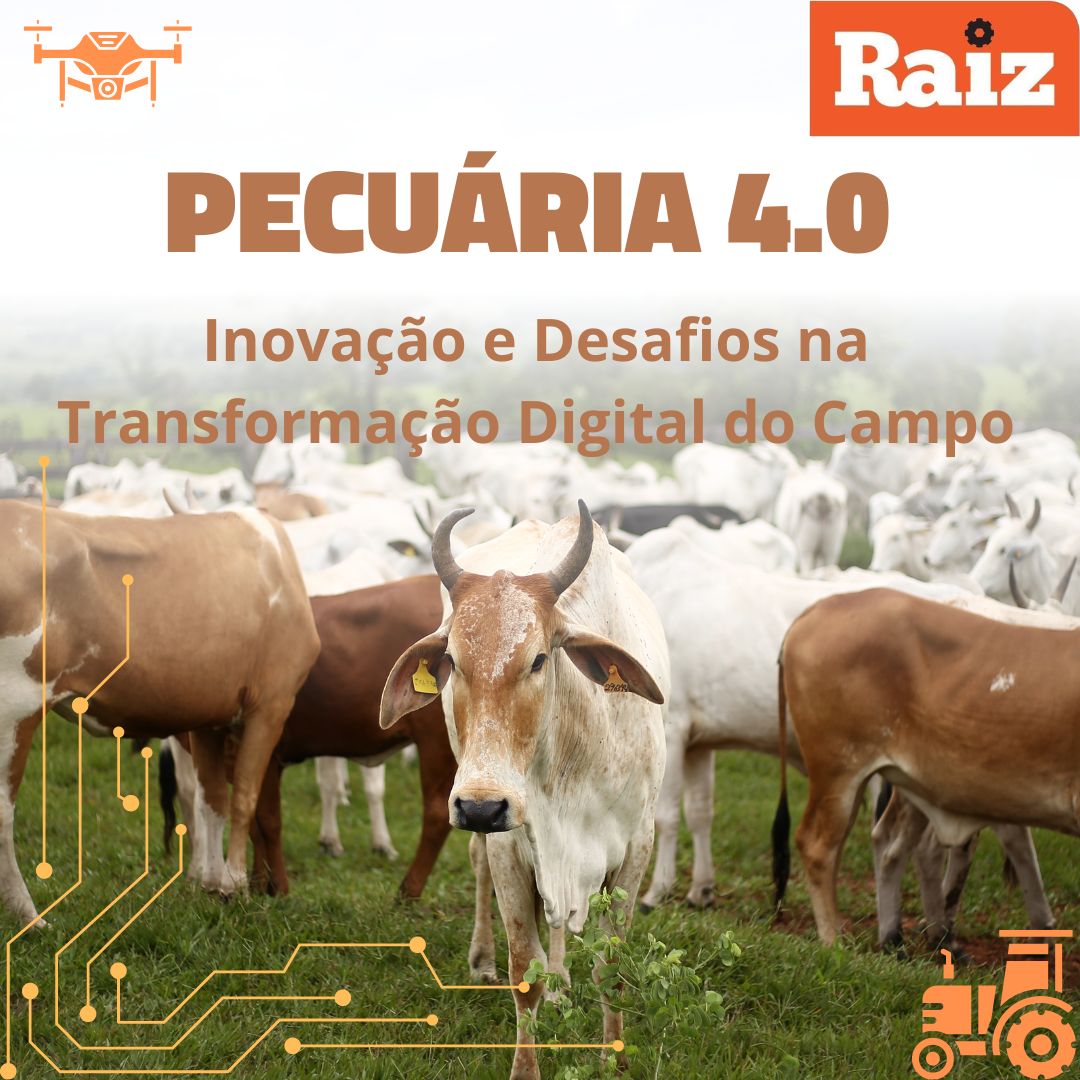 Pecuária