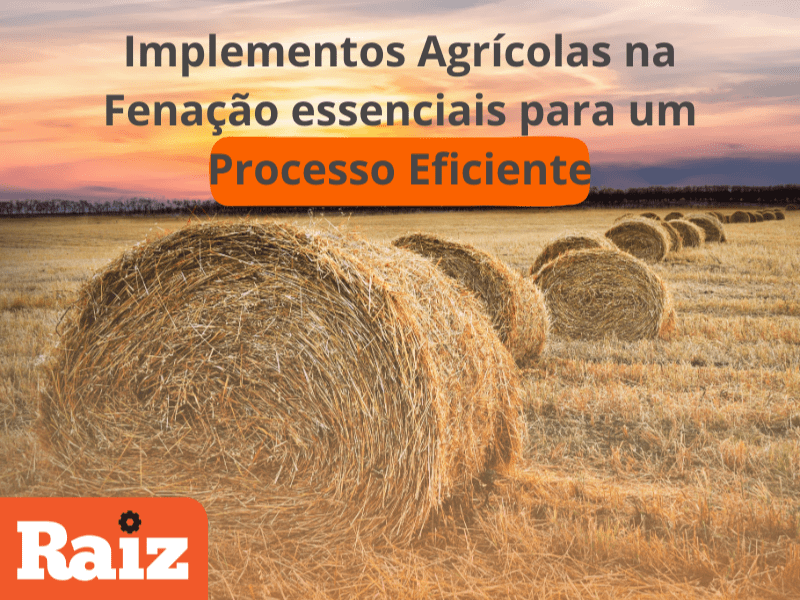 Implementos Agrícolas na Fenação