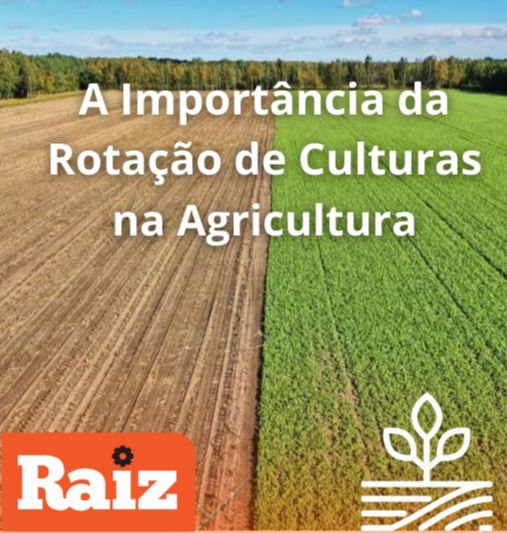 Rotação de Culturas