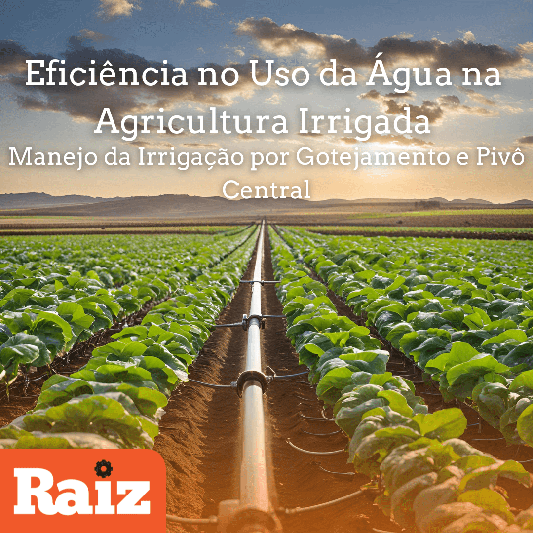 Agricultura Irrigada
