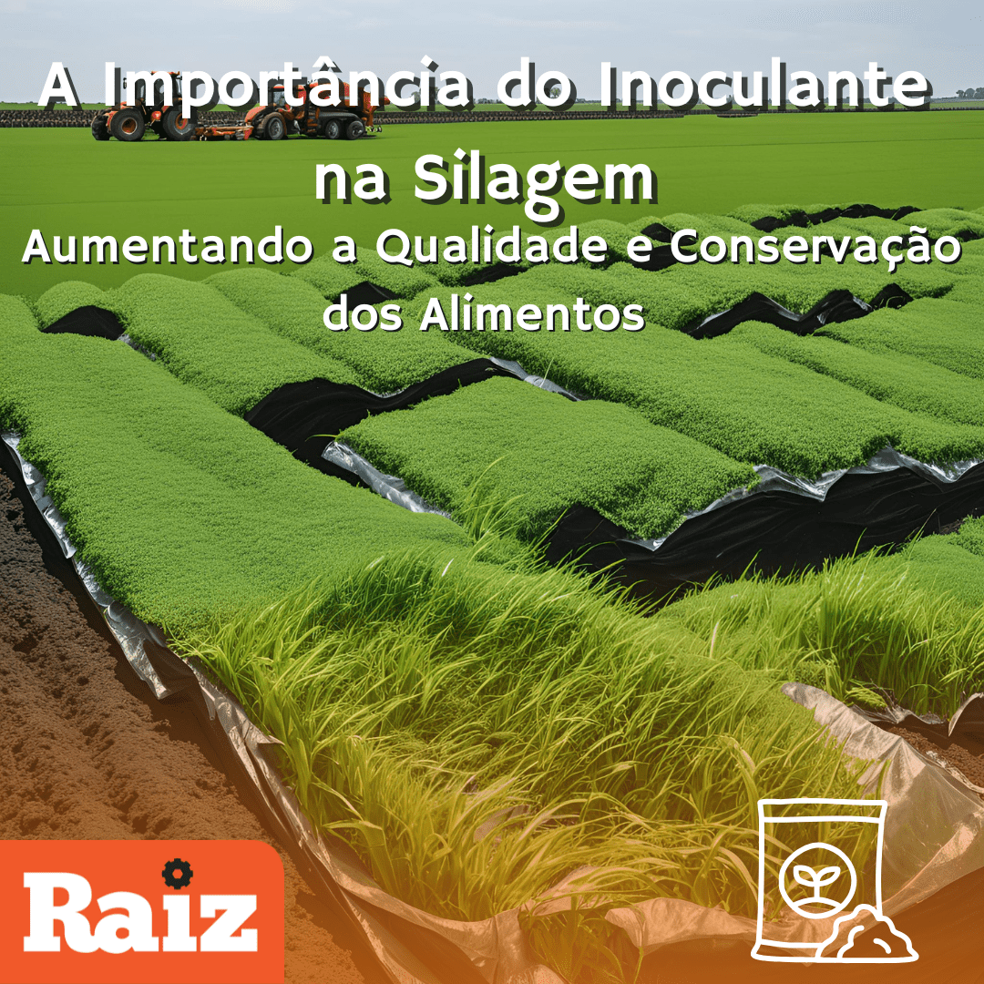 A Importância do Inoculante na Silagem: Aumentando a Qualidade e Conservação dos Alimentos