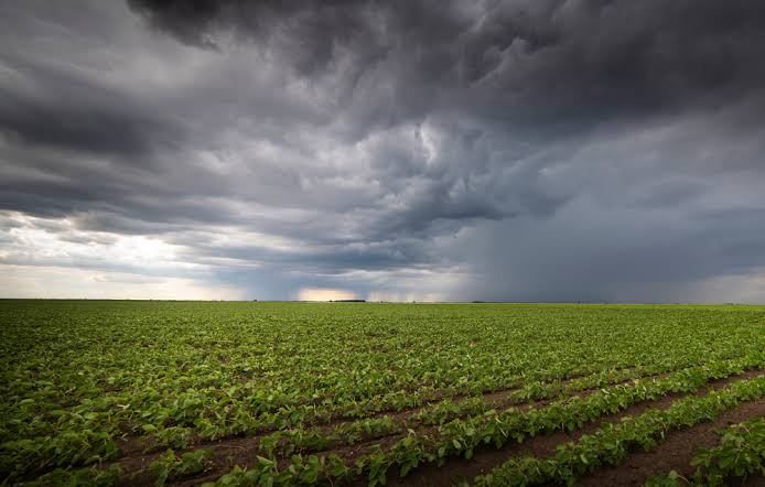 El Niño se fortalece e aumenta os desafios para o agronegócio brasileiro